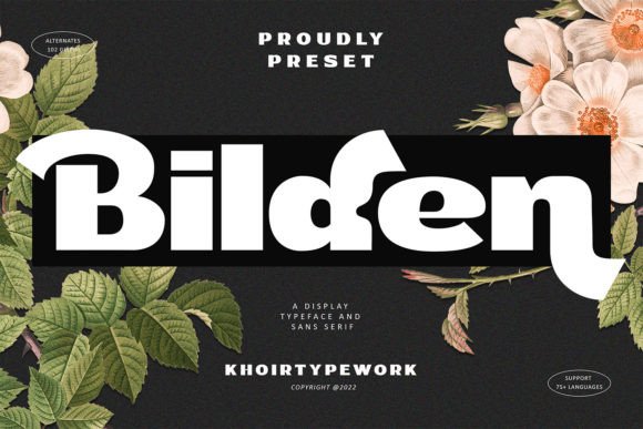 Bilden: A Chic Display Font for Bold Brand Identities