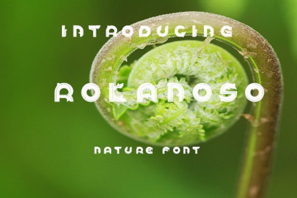 Rokanoso: The Tropical Display Font for Handmade Branding